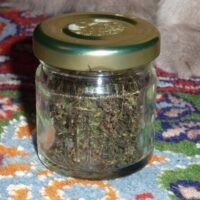 Acheter du Changa DMT en ligne